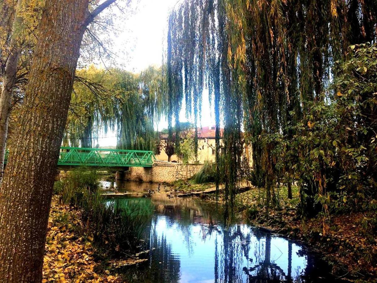 Apartamento Ribera Del Duero Reserva Tubilla del Lago Ngoại thất bức ảnh
